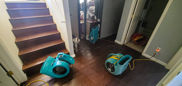 Best Sewage cleanup and water damage restoration  in Cornelia, GA