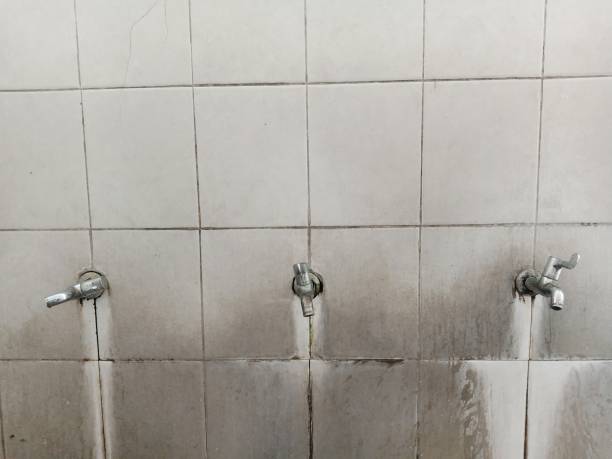 Best Flood damage cleanup  in Cornelia, GA