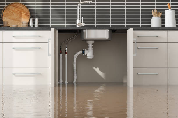 Best Ceiling water damage repair  in Cornelia, GA