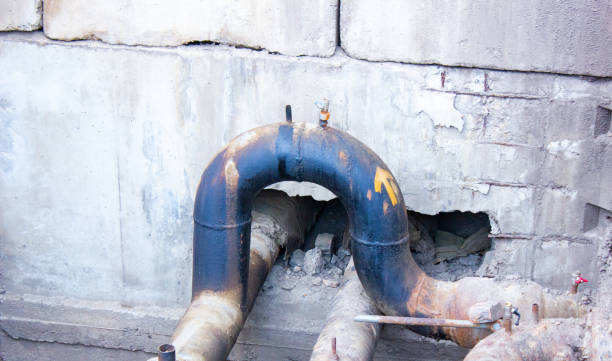 Best Water damage restoration near me  in Cornelia, GA