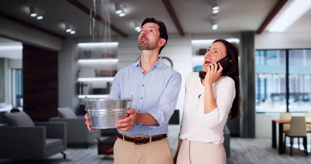 Best Water damage cleanup near me  in Cornelia, GA